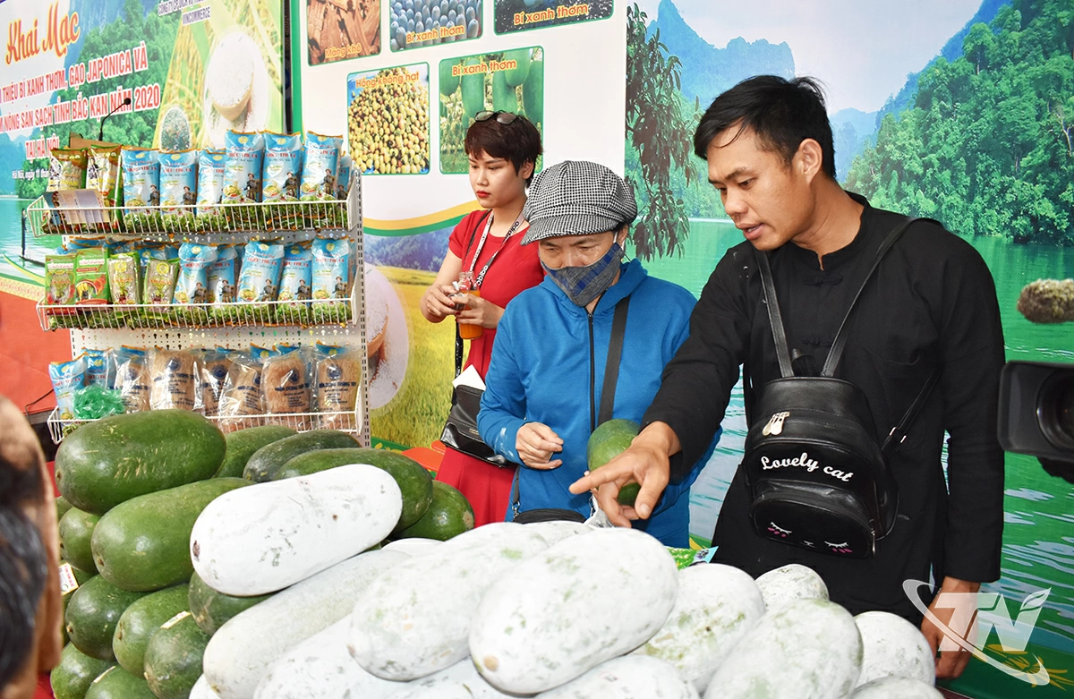 Sản phẩm bí xanh thơm được giới thiệu và bán tại nhiều tỉnh thành trên cả nước.