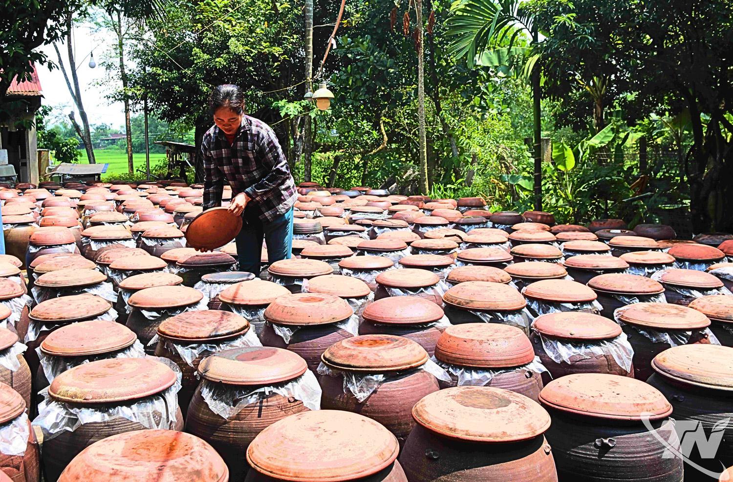 Chế biến tương tại Làng nghề tương nếp Úc Kỳ   (xã Phú Bình).