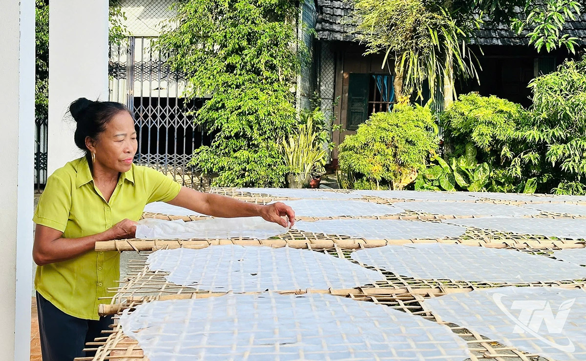Phơi bánh phở, công đoạn quan trọng tạo độ dai, thơm cho phở Phủ Thông.