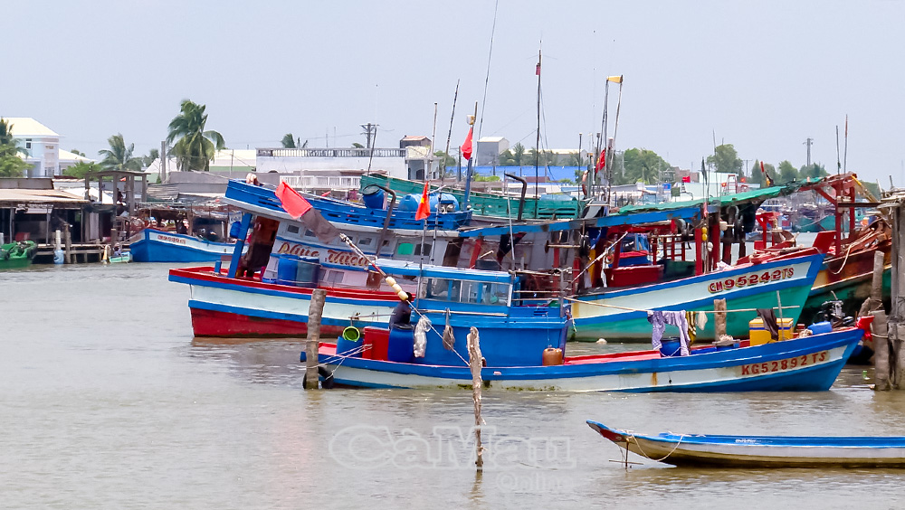 Khánh Lâm là một trong những địa phương có nhiều đội tàu đánh bắt công suất lớn. 