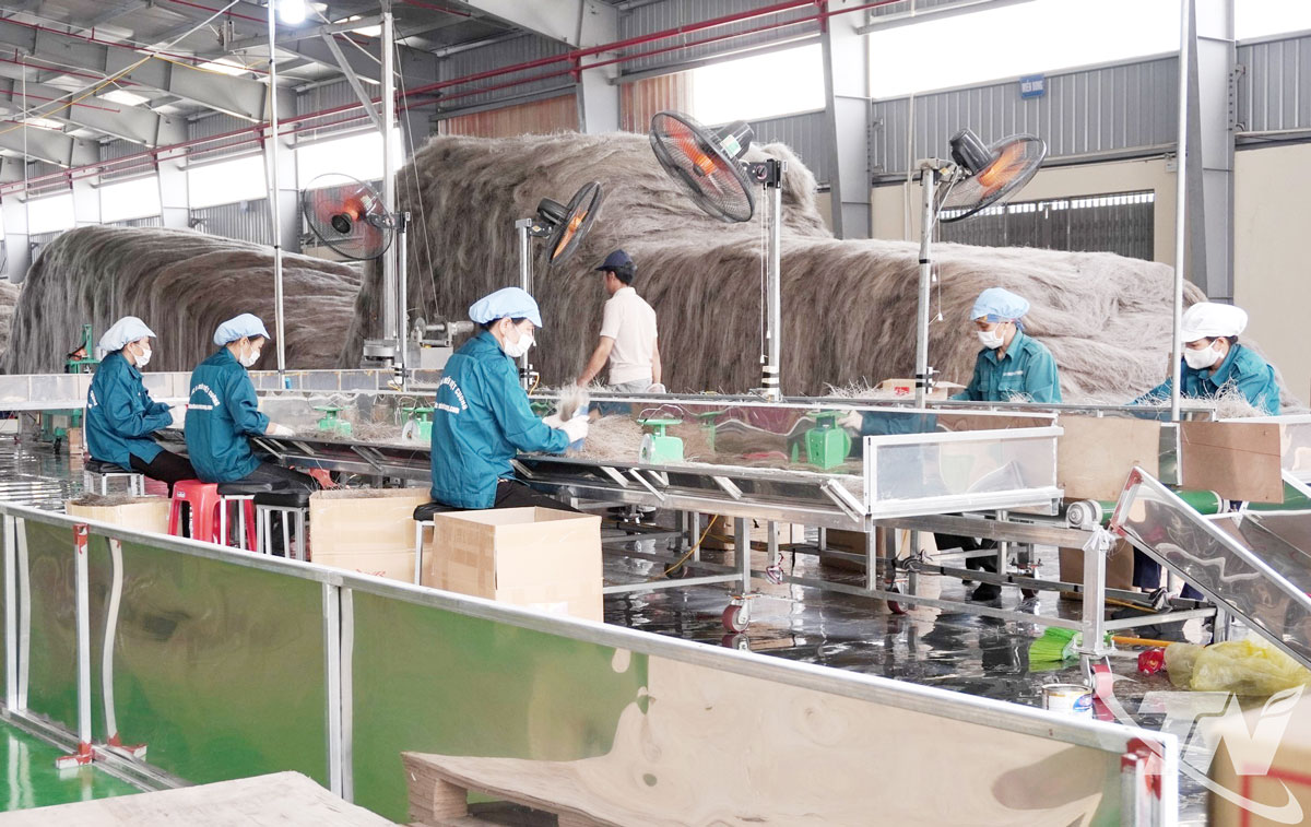 Việc đẩy mạnh xúc tiến thương mại góp phần quan trọng giúp các doanh nghiệp, HTX trên địa bàn tỉnh nâng cao hiệu quả sản xuất, mở rộng thị trường tiêu thụ sản phẩm. Ảnh: T.L