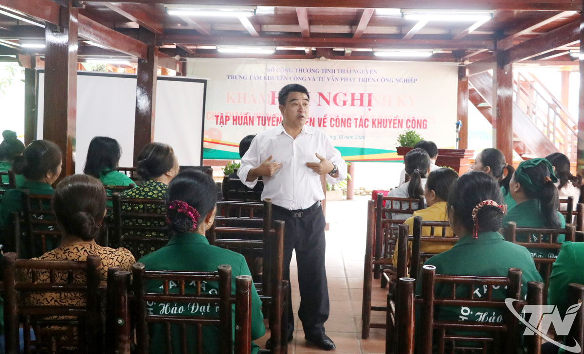 Giảng viên truyền đạt kiến thức tại lớp tập huấn khuyến công.