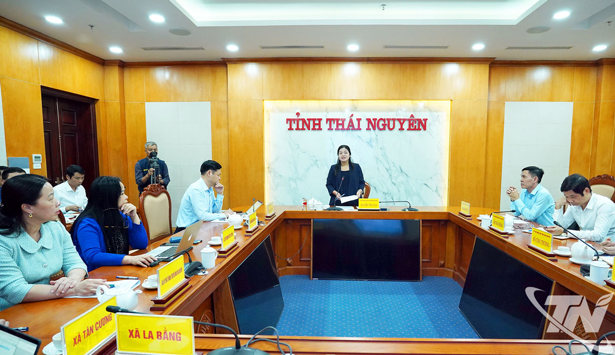 Đồng chí Phó Chủ tịch UBND tỉnh Nguyễn Thị Loan chủ trì cuộc họp.