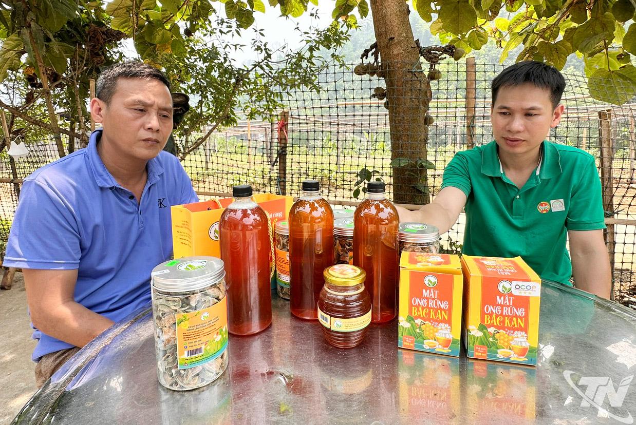 Các sản phẩm trà bí, bí xanh thơm và mật ong của HTX Nông lâm tổng hợp Địa Linh (xã Chợ Rã) đạt chứng nhận OCOP 3 sao.