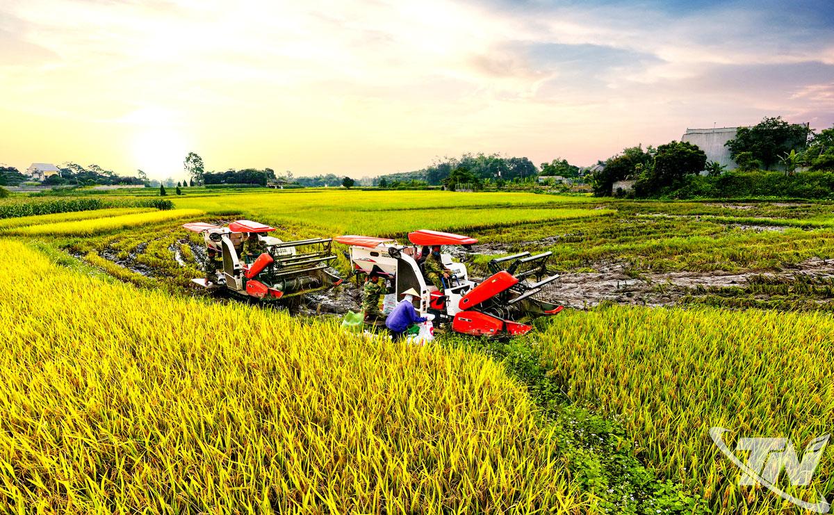 Bà con nông dân trên địa bàn tỉnh Thái Nguyên tích cực đưa cơ giới hóa vào phục vụ các khâu làm đất, cấy lúa, gặt lúa... Từ đó góp phần giải phóng sức lao động, nâng cao hiệu quả sản xuất.