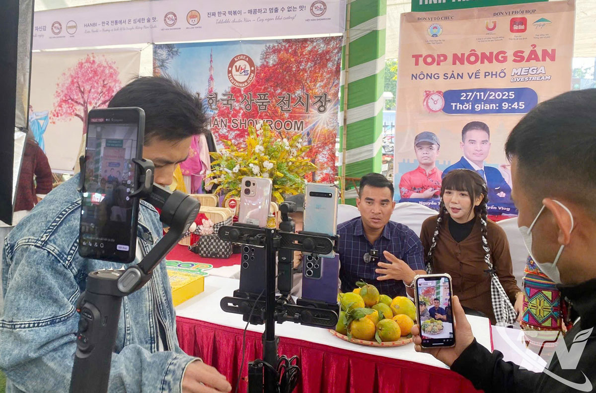 Tổ chức livestream Top Nông sản - Nông sản về phố tại Hội nghị kết nối cung cầu tiêu thụ sản phẩm HTX năm 2025 và giao lưu kinh tế, văn hoá Việt Nam - Hàn Quốc tại trang Chợ điện tử Thái Nguyên. 