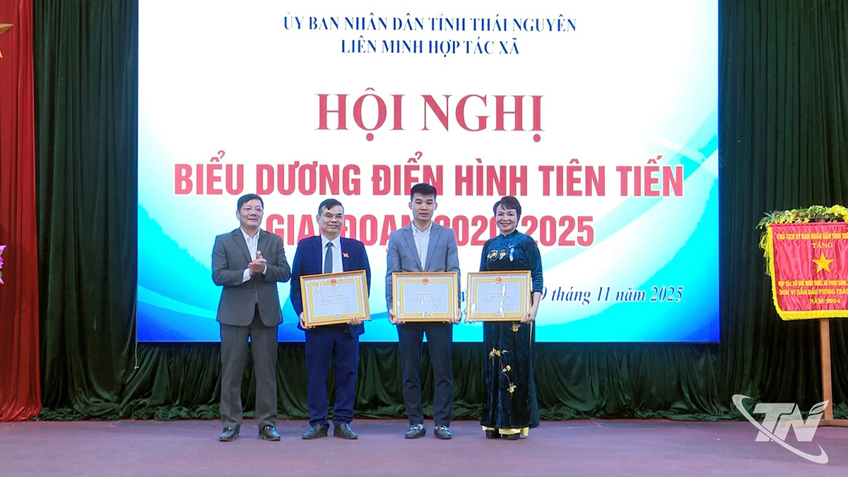 Liên minh HTX Việt Nam đã tặng Bằng khen cho các tập thể và cá nhân có thành tích xuất sắc trong năm 2024