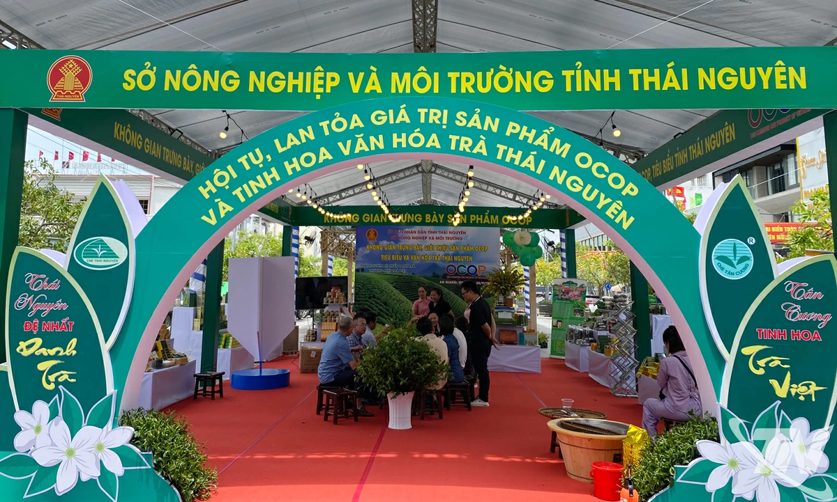 Không gian trưng bày, giới thiệu sản phẩm OCOP tiêu biểu và văn hóa trà Thái Nguyên.