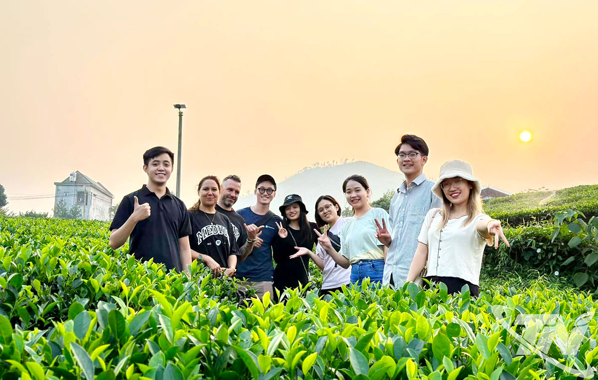 Những năm gần đây, Thái Nguyên đã kết hợp giá trị truyền thống với cơ hội từ chuyển đổi số, đưa sản phẩm chè vươn xa trên thị trường trong nước, quốc tế. Trong ảnh: Du khách tham quan, trải nghiệm tại vùng chè.