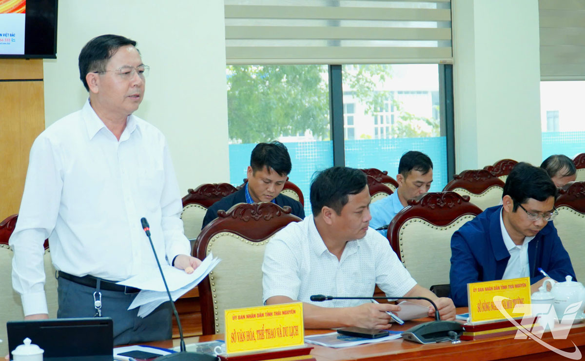 Lãnh đạo Sở Văn hóa, Thể thao và Du lịch báo cáo tại Hội nghị.