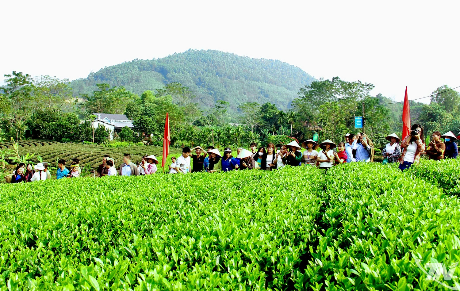 Các làng nghề chè trên địa bàn tỉnh góp phần quan trọng trong việc xây dựng thương hiệu   “Chè Thái” nổi tiếng, đồng thời thu hút đông đảo du khách đến tham quan, trải nghiệm.