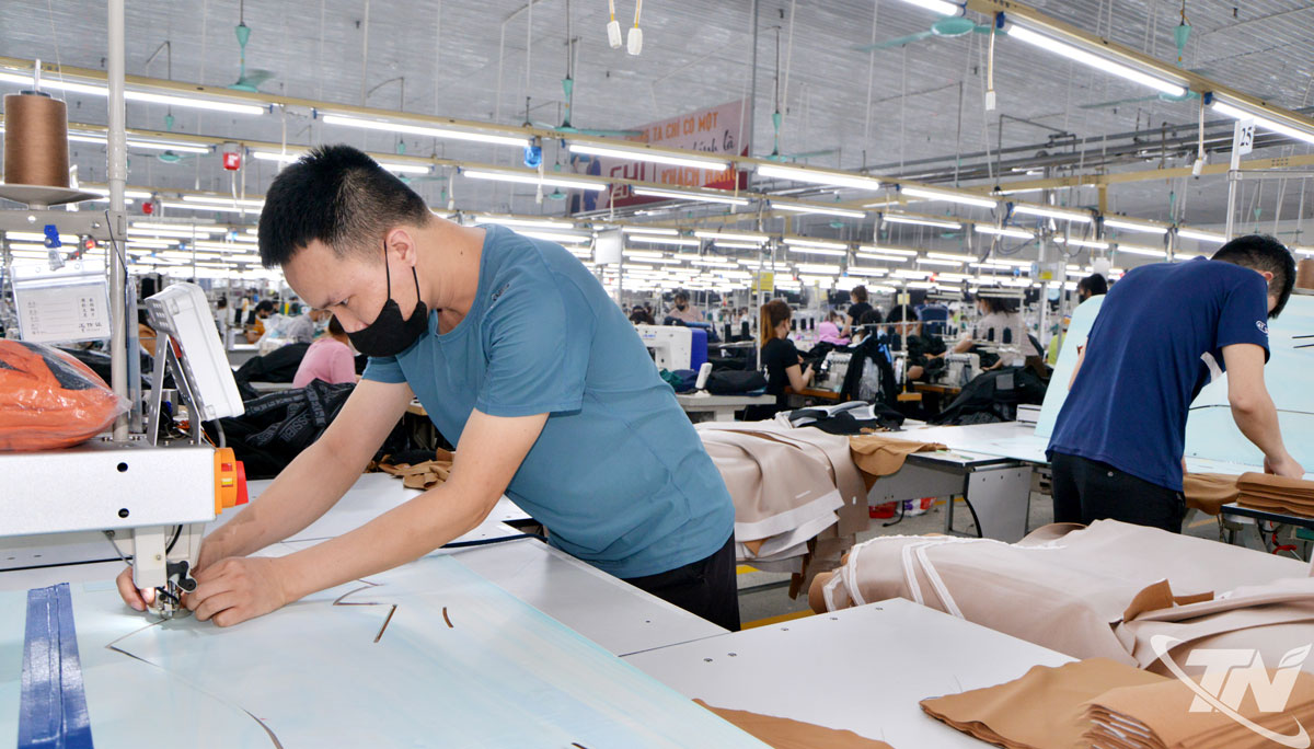 Kim ngạch xuất khẩu ngành may mặc trên địa bàn tỉnh 9 tháng năm 2025 đạt trên 413 triệu USD, tăng 7,76% so với cùng kỳ.