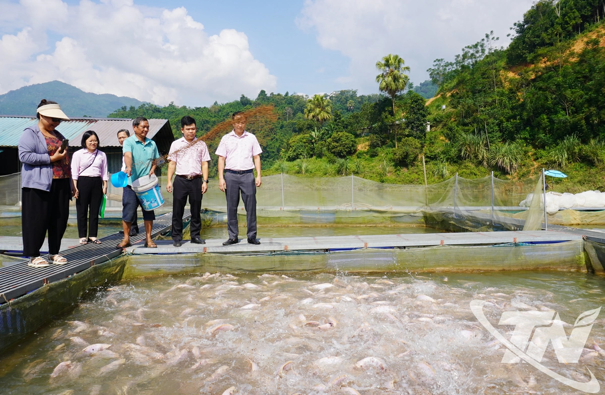 Cán bộ Ngân hàng Chính sách xã hội Thái Nguyên thăm mô hình nuôi cá lồng của ông Nguyễn Nam Hoàn, ở vùng hồ Nặm Cắt, xã Phong Quang.
