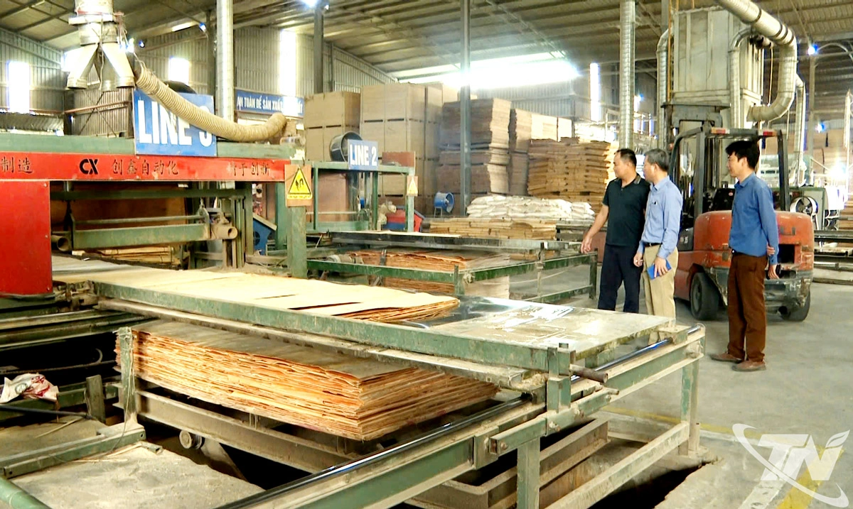 Hoạt động sản xuất tại Công ty TNHH Sản xuất và Xuất khẩu gỗ dán Anh Phương Việt Nam (Cụm công nghiệp Đa Phúc số 3).