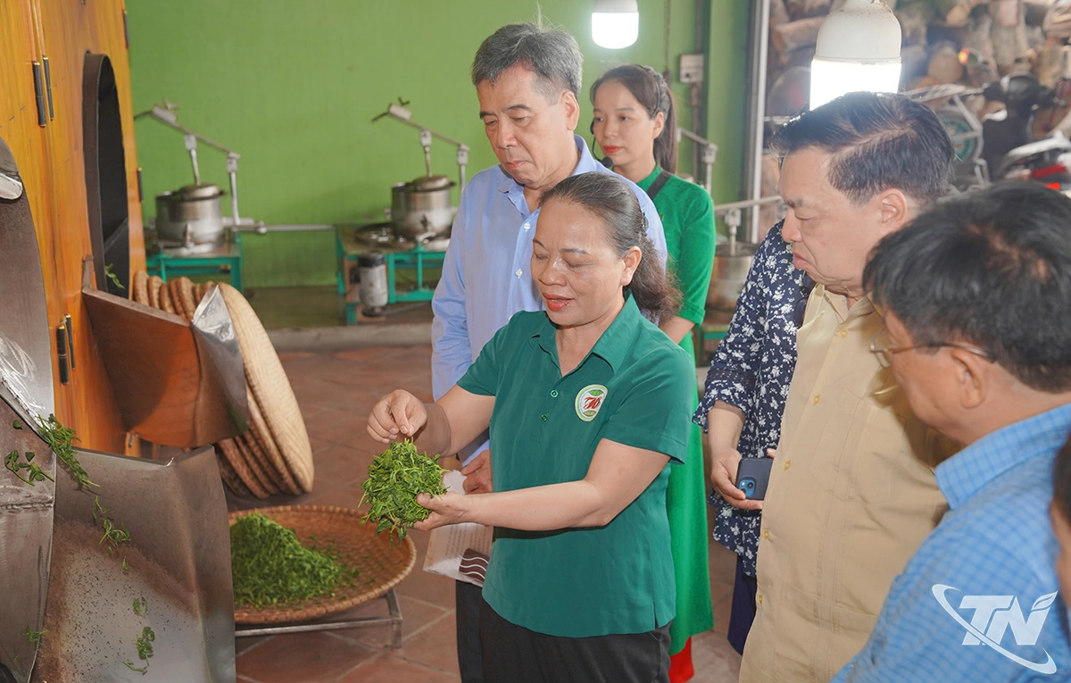 Đoàn công tác Giải thưởng Nhân tài Đất Việt 2025 - giải thưởng “Khuyến học - Tự học thành tài”  tìm hiểu thực tế về sản phẩm ống diệt men chè.