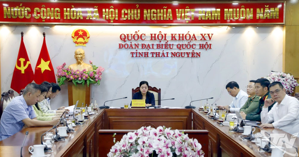 đồng chí Nguyễn Thị Loan, Phó Chủ tịch UBND tỉnh, cùng lãnh đạo các sở, ngành liên quan tham dự