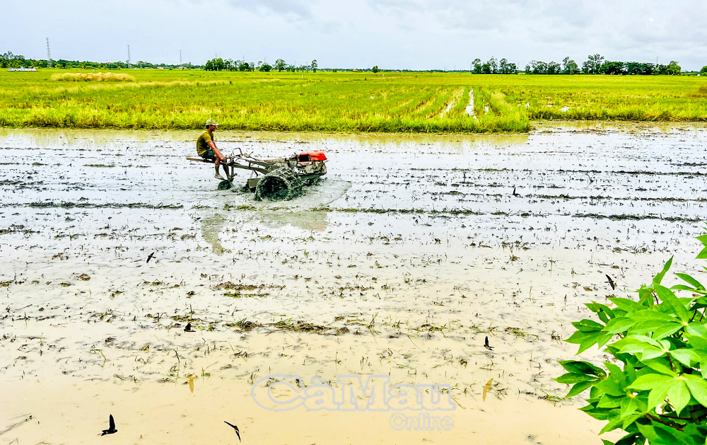 Nhiều hộ dân ứng dụng cơ giới vào sản xuất, tiết kiệm thời gian và công lao động.