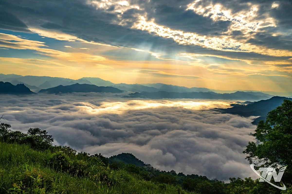 Biển mây trong ánh bình minh đẹp như một bức tranh.