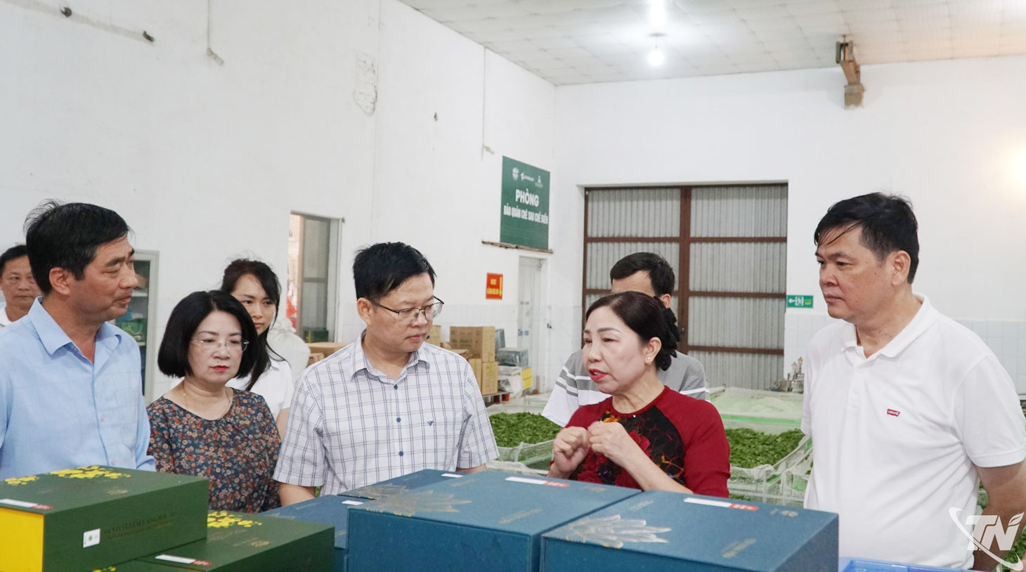 Đồng chí Đinh Quang Tuyên và Đoàn công tác thăm khu vực sản xuất của Công ty CP Chè Hà Thái.