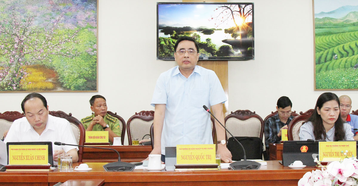 Thứ trưởng Bộ Nông nghiệp và Môi trường Nguyễn Quốc Trị kết luận buổi làm việc.