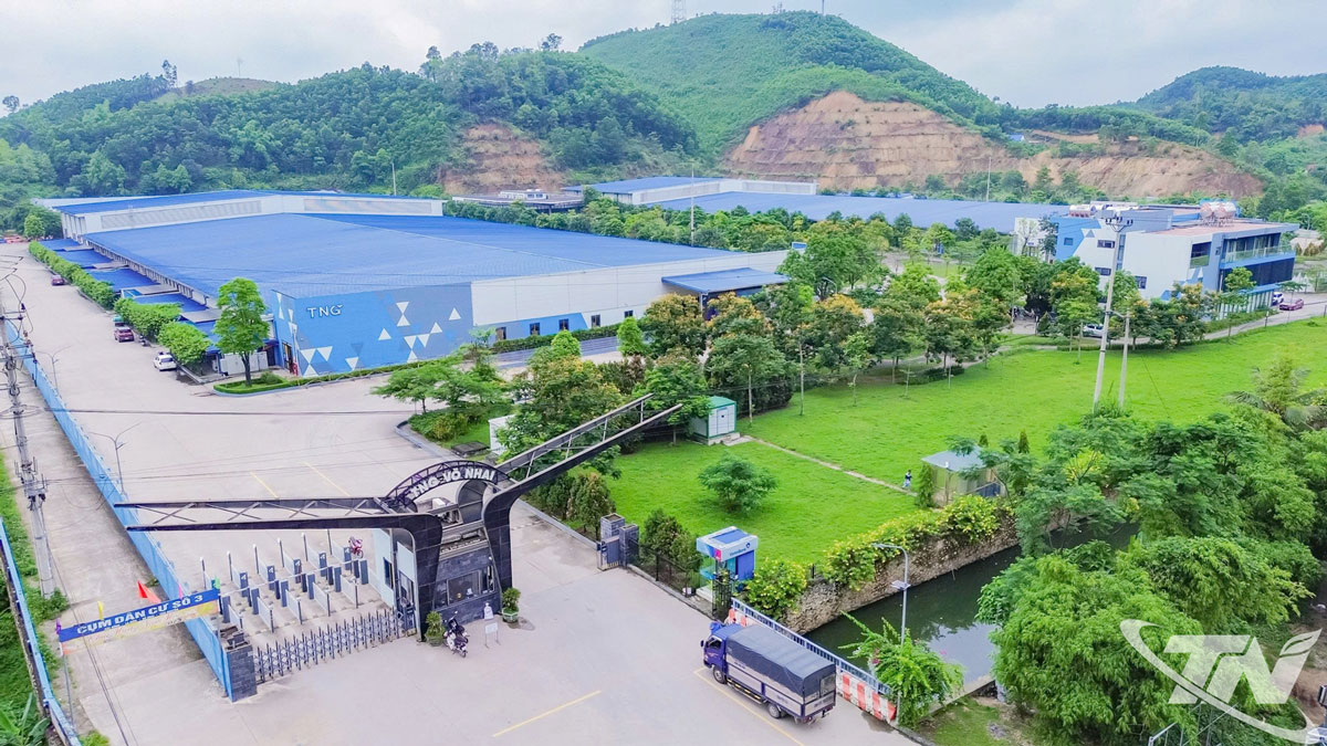 TNG là doanh nghiệp may hàng đầu với 19 chi nhánh, 366 chuyền may