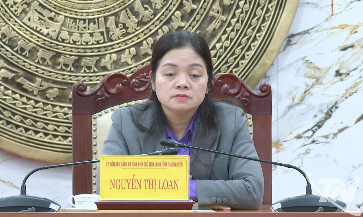 Đồng chí Nguyễn Thị Loan, Phó Chủ tịch UBND tỉnh dự tại điểm cầu tỉnh Thái Nguyên.  