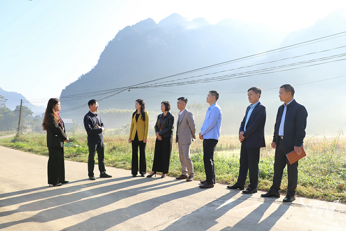 Tổ công tác khảo sát tại thôn Đèo Vai, xã Chợ Mới