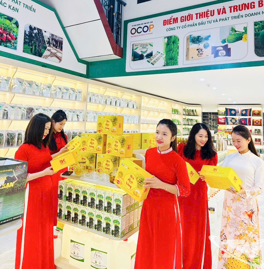 Điểm trưng bày, giới thiệu sản phẩm OCOP của Hội doanh nhân trẻ khu vực phía Bắc tỉnh Thái Nguyên.