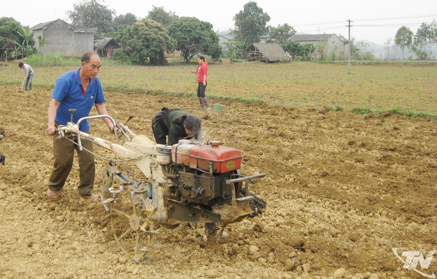 Trong sản xuất nông nghiệp ở Phú Lương, nhiều công đoạn    được cơ giới hóa.