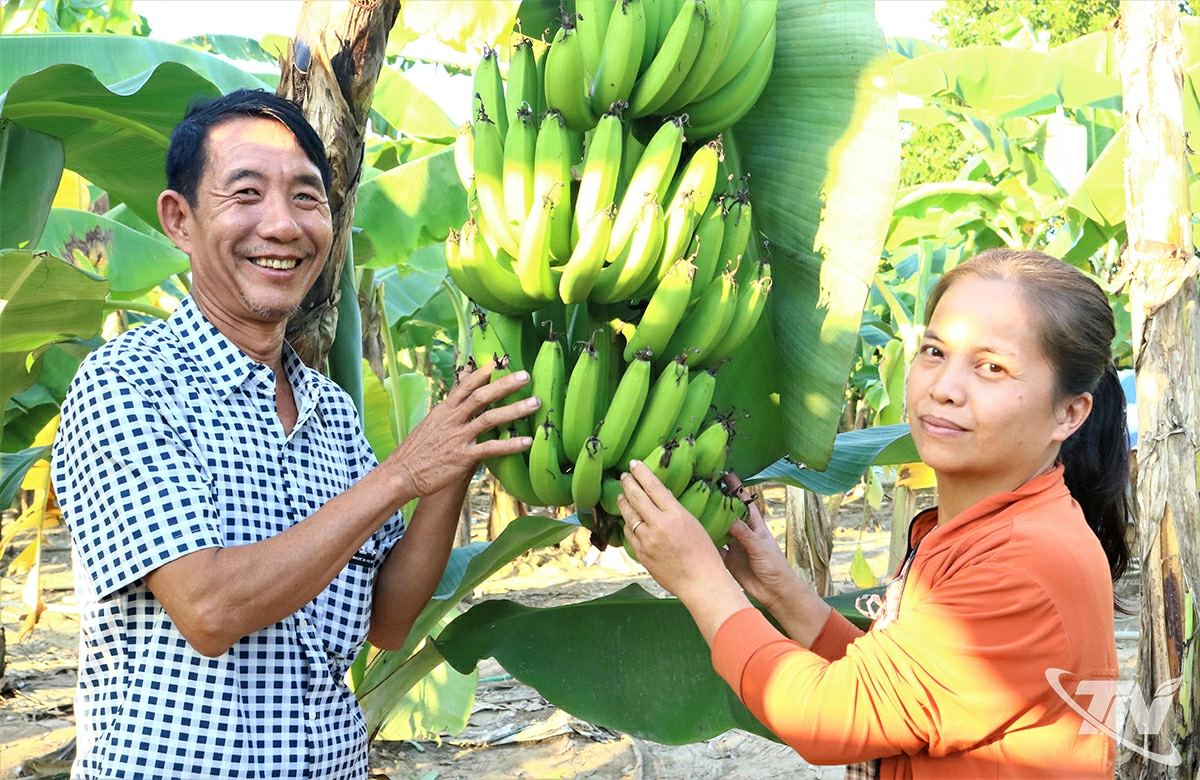 Vợ chồng ông Chu Văn Quân với niềm vui về thành quả lao động.