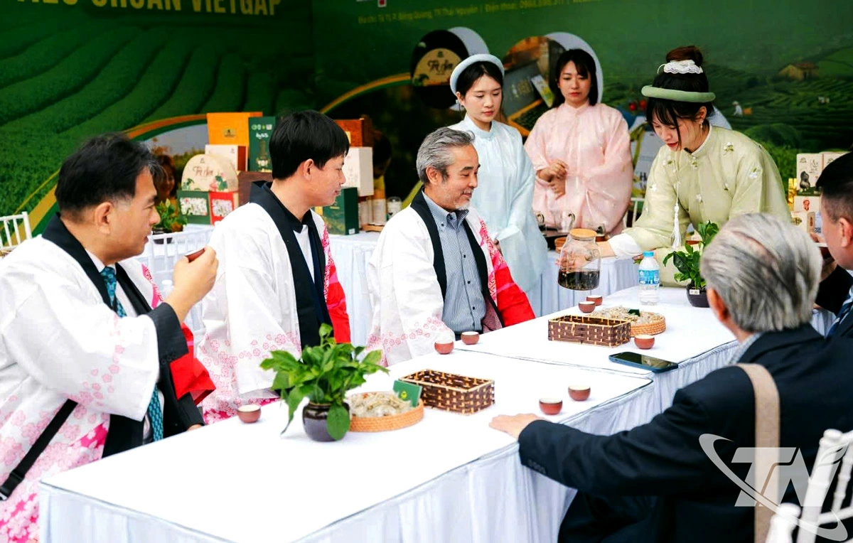 HTX Hương Vân Trà mang hương vị trà Thái Nguyên đến với du khách Nhật Bản tại Lễ hội Hoa Anh Đào năm 2025 được tổ chức tại TP. Hải Phòng.