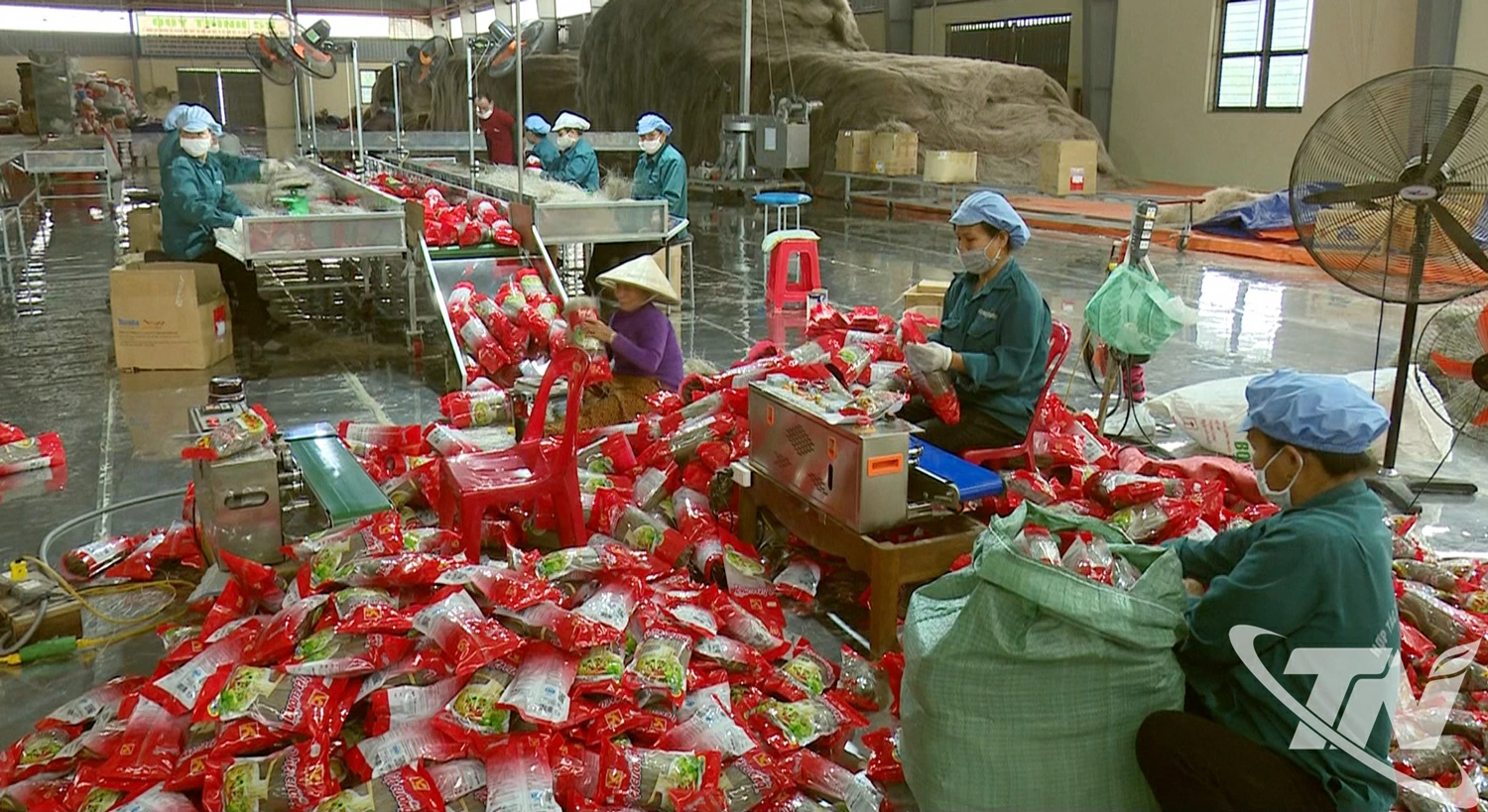 Năm 2025, HTX miến Việt Cường phấn đấu sản xuất và tiêu thụ trên 500 tấn sản phẩm.