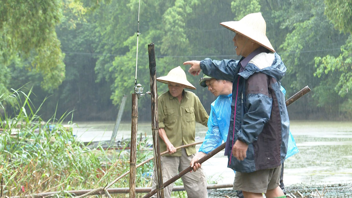 Tập trung ứng phó với bão, giúp giữ sinh kế của người nuôi cá lồng trên sông Năng.