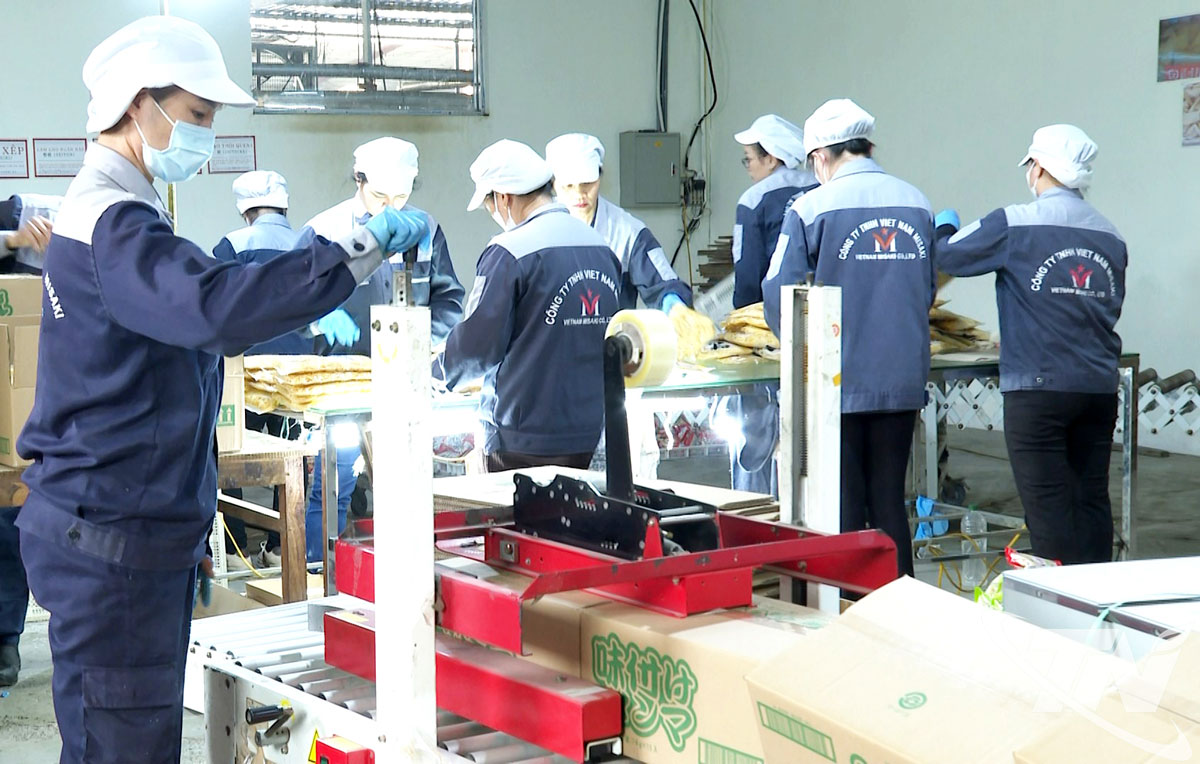 Công ty TNHH Việt Nam Misaki (xã Thanh Thịnh) sản xuất và chế biến nông sản xuất khẩu sang thị trường Nhật Bản.