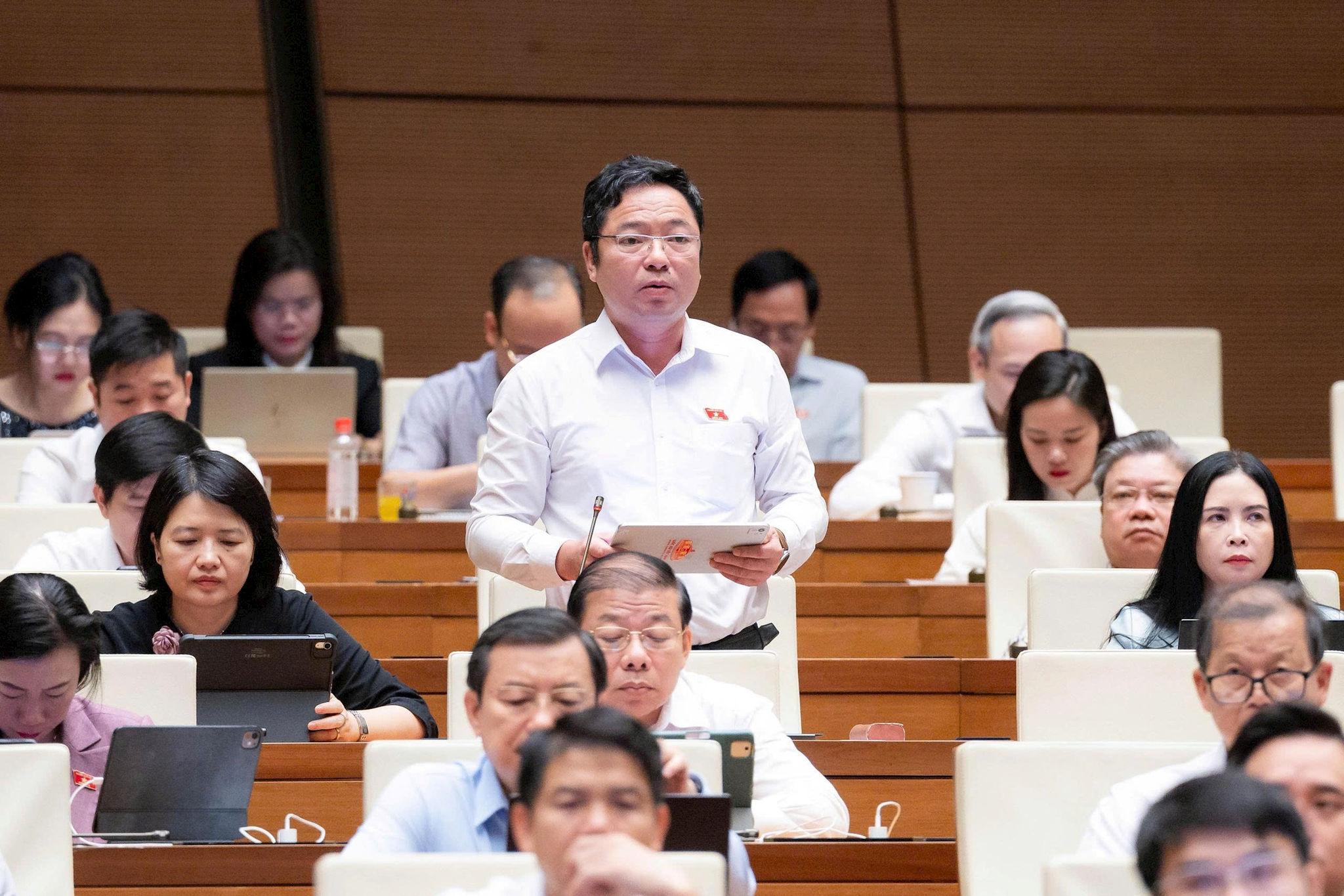db-vuong-kim-anh.jpg