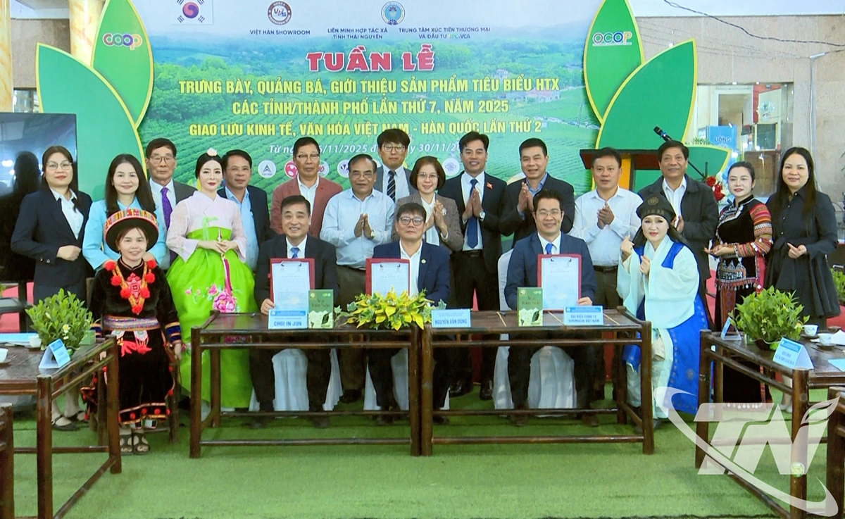 Các doanh nghiệp, hợp tác xã tham gia Hội nghị.