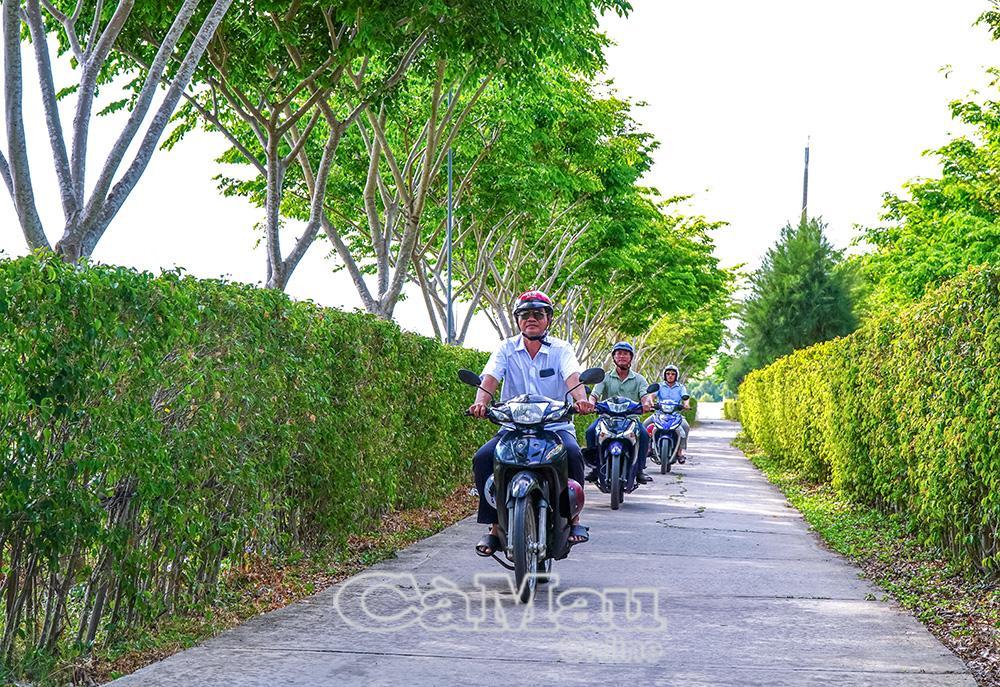 Những tuyến hàng rào cây xanh góp phần làm đẹp cảnh quan nông thôn, tạo diện mạo sáng - xanh - sạch - đẹp trong xây dựng nông thôn mới ở xã Cái Nước.