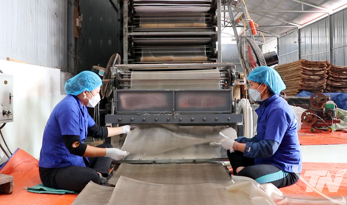 Nhiều hợp tác xã đã đầu tư trang thiết bị để sản xuất với quy mô lớn, nâng cao chất lượng và giá trị sản phẩm