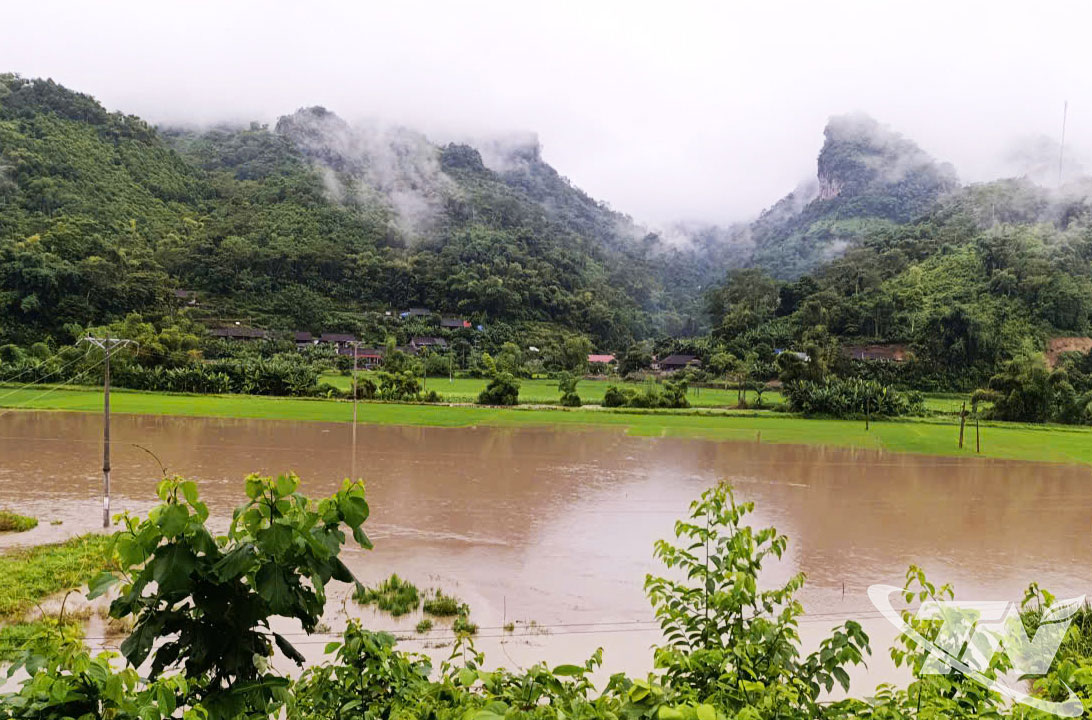 Một số diện tích ruộng lúa của người dân ở xã Ba Bể bị ngập úng cục bộ.