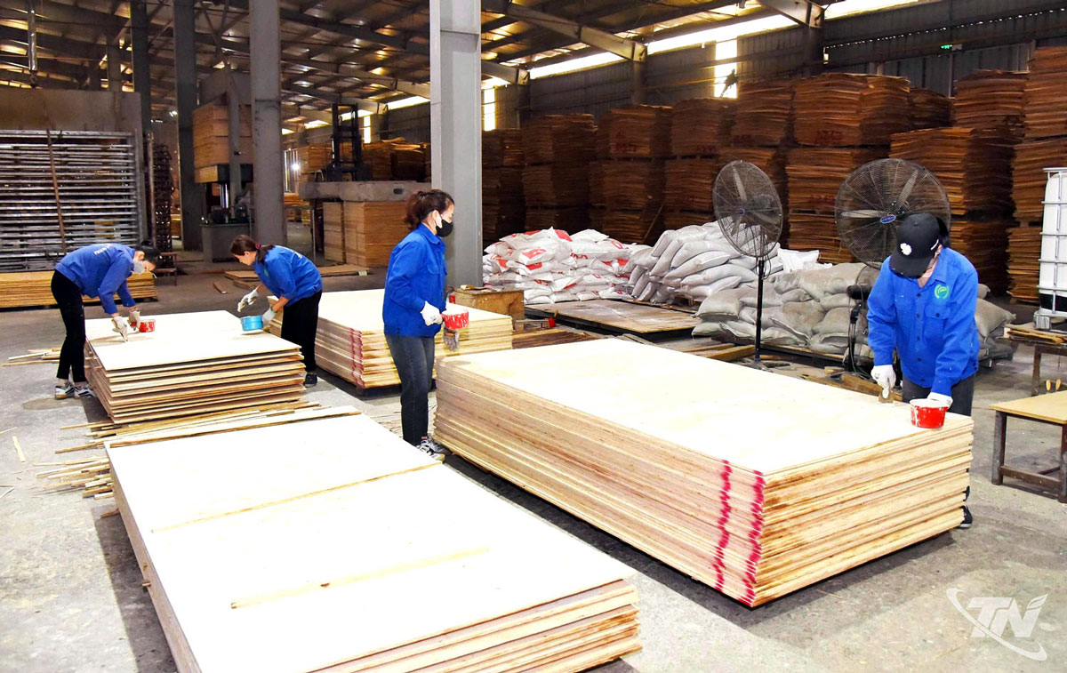Chế biến gỗ tại Công ty CP Đầu tư Govina (Khu công nghiệp Thanh Bình)