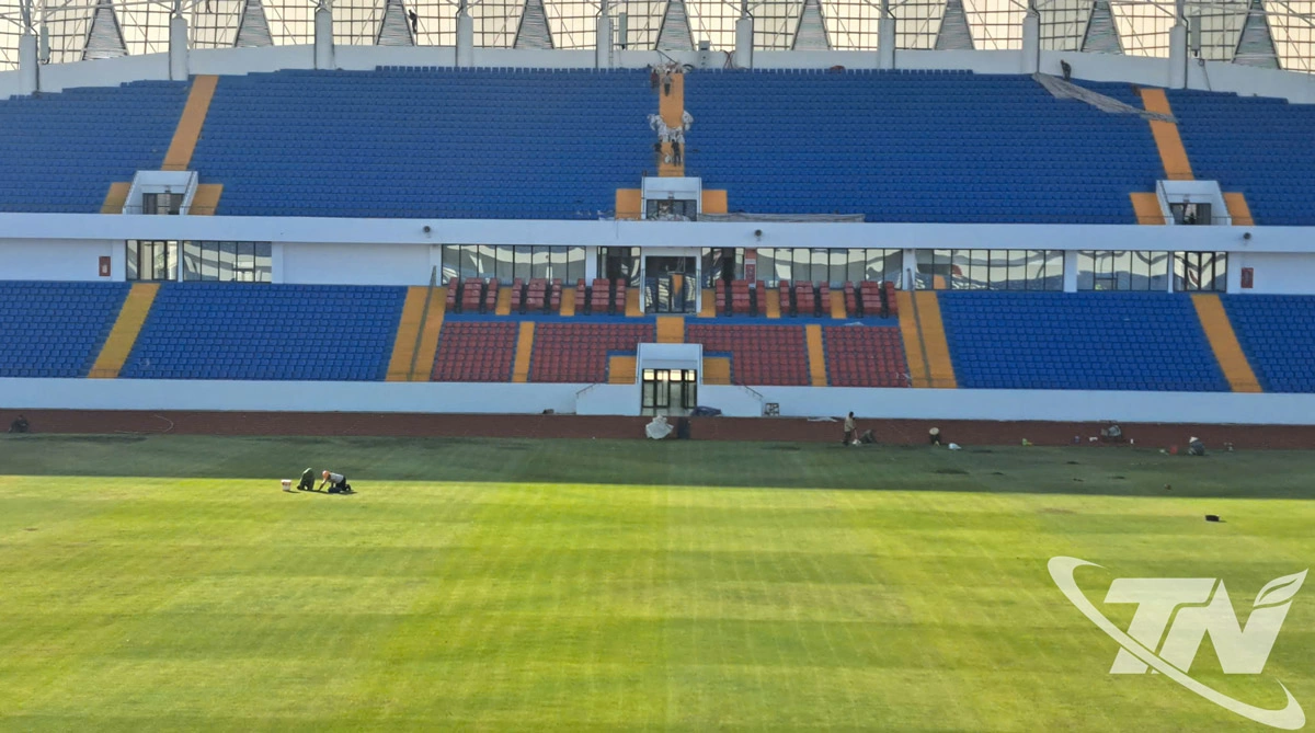 Mặt cỏ được chăm sóc kỹ lưỡng.