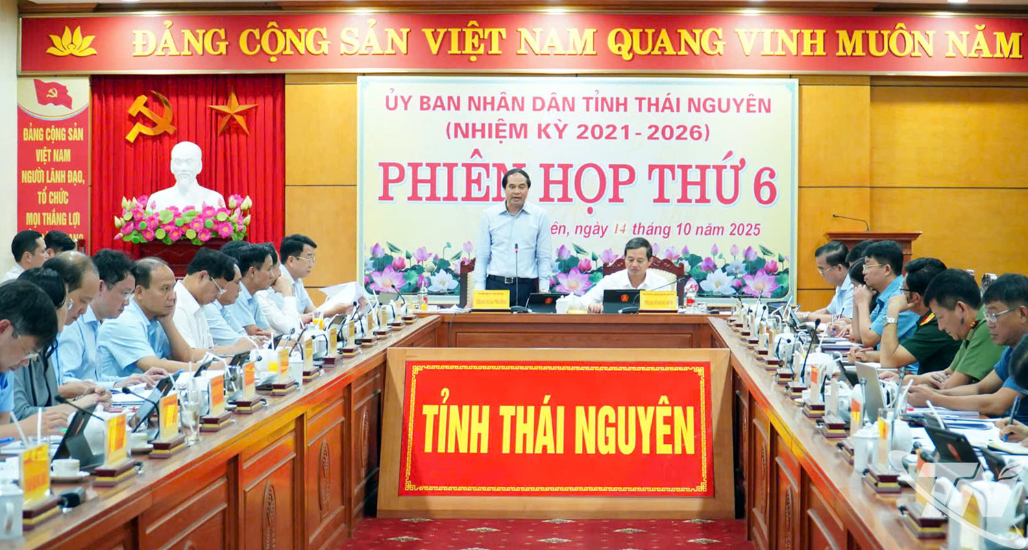 Đồng chí Trịnh Xuân Trường, Bí thư Tỉnh ủy, phát biểu chỉ đạo tại phiên họp.