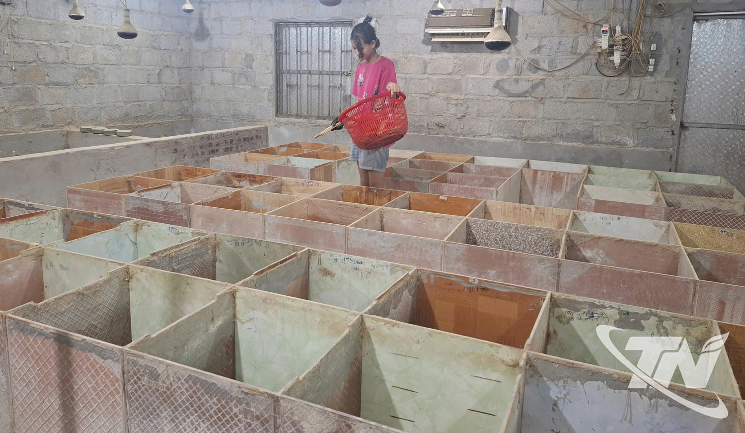 Trại dúi của gia đình anh Hứa Văn Thượng (xã Na Rì) hiện đã trang bị hệ thống sưởi và làm mát, giúp dúi sinh trưởng, phát triển tốt.