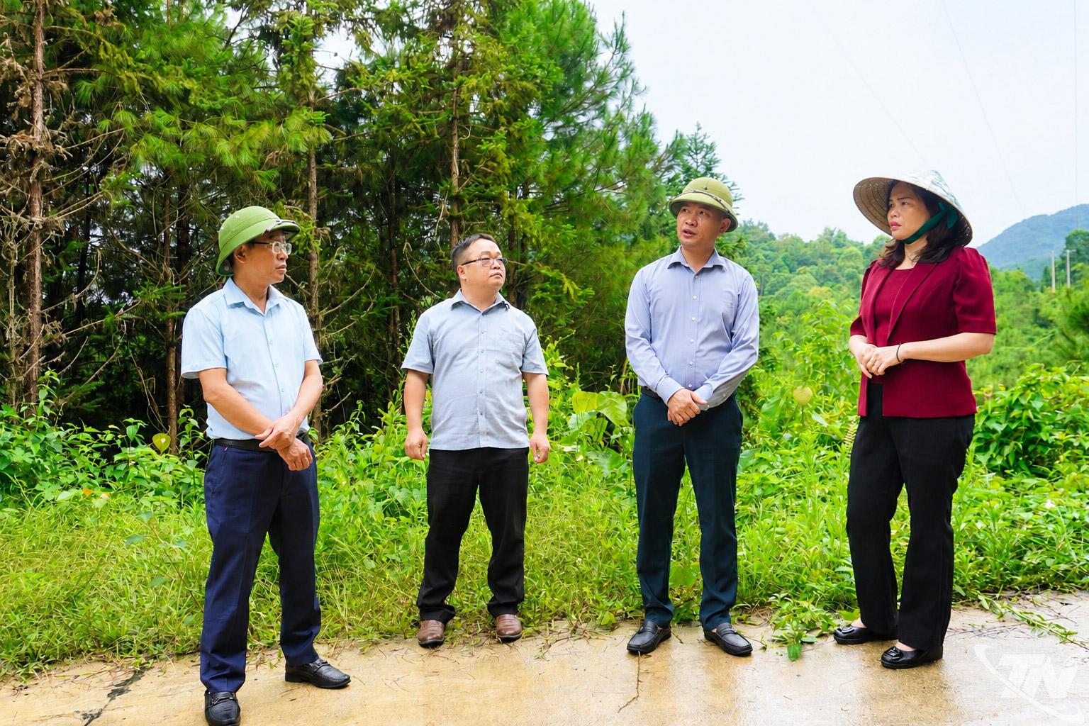   Đoàn kiểm tra thực tế việc quản lý, sử dụng đất liên quan đến hệ thống đường điện tại thôn Thượng Ân.