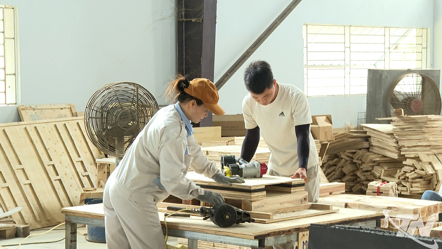 Thu hút các doanh nghiệp chế biến trong lĩnh vực nông - lâm sản giúp các xã khu vực phía Bắc tăng nguồn thu ngân sách.