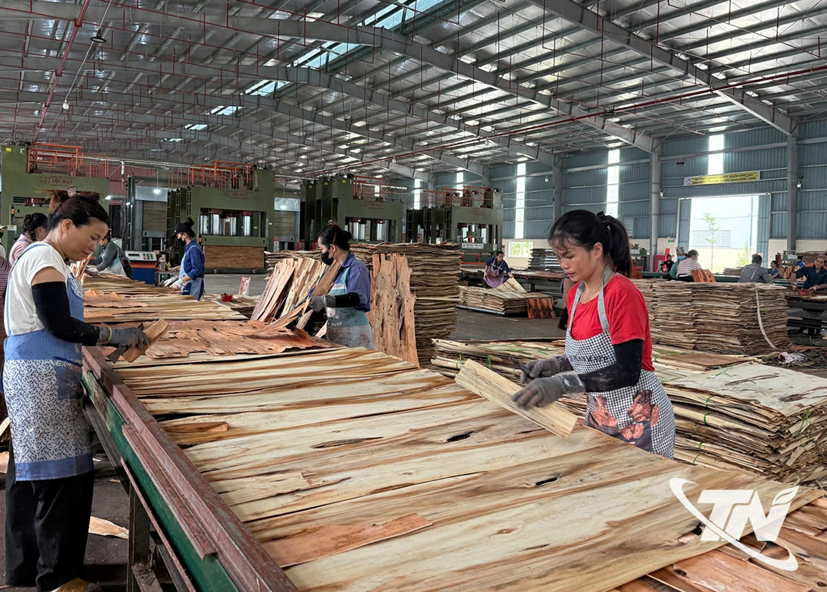 Nhà máy Ván ép Thăng Long Bắc Kạn hoạt động ổn định tại Khu công nghiệp Thanh Bình, tạo việc làm cho lao động địa phương.
