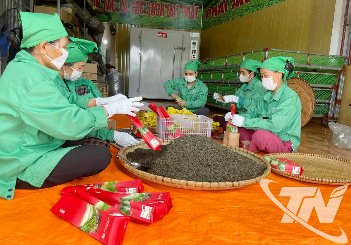 Người dân các làng nghề tăng cường ứng dụng khoc học kĩ thuật trong sản xuất