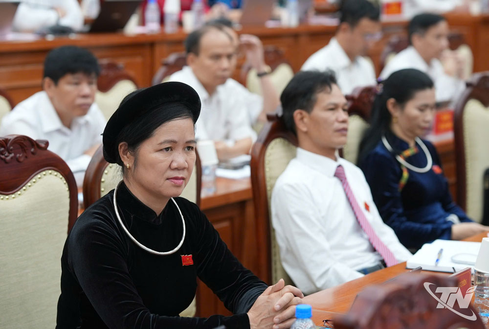 Các đại biểu dự Kỳ họp.