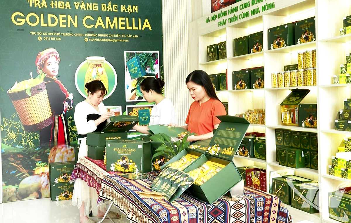 Công ty TNHH Hà Diệp tham gia chương trình Onliday 2025 với ưu đãi giảm đến 50% cho các sản phẩm OCOP 4 sao, gồm trà hoa vàng, trà hoa vàng túi lọc và trà nụ vối.