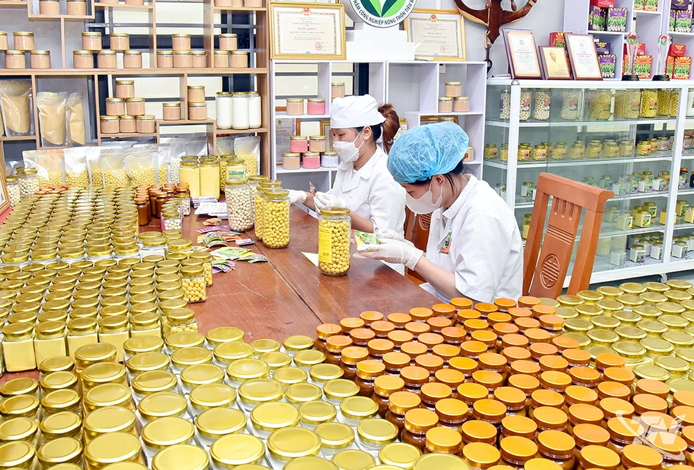 Đóng gói sản phẩm tinh bột nghệ tại HTX Nông nghiệp Tân Thành (phường Bắc Kạn).